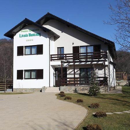 Pensiunea Livada Bunicului Stanesti  Exteriér fotografie