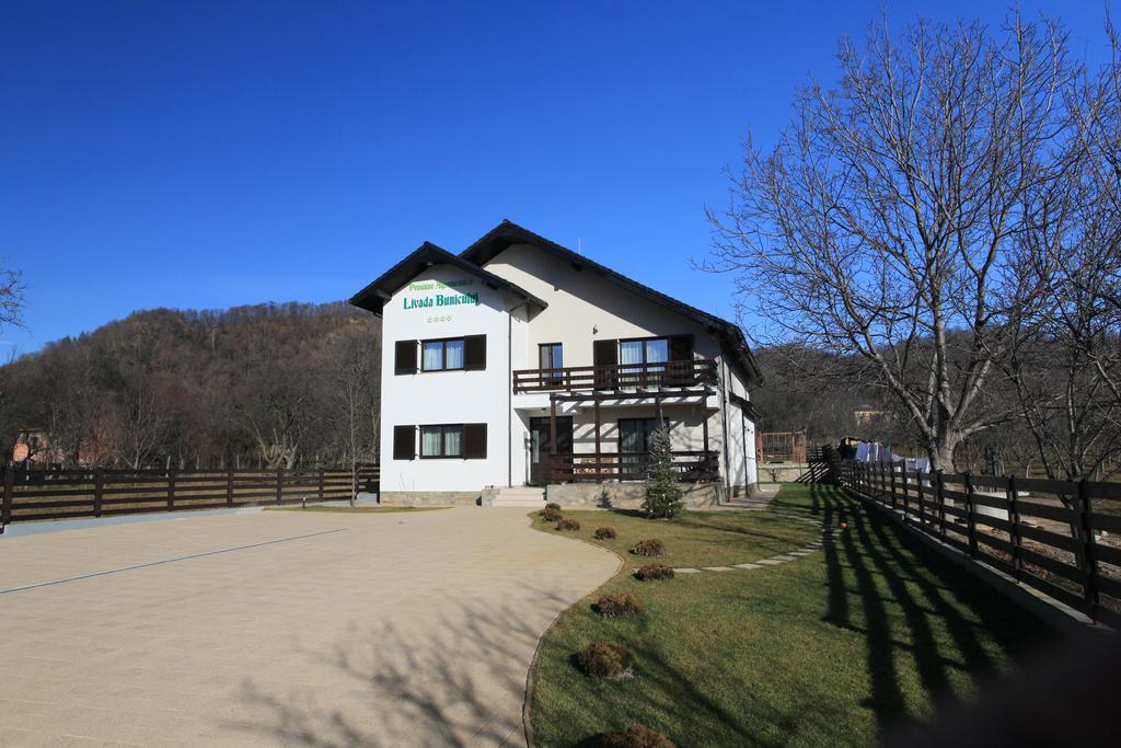 Pensiunea Livada Bunicului Stanesti  Exteriér fotografie