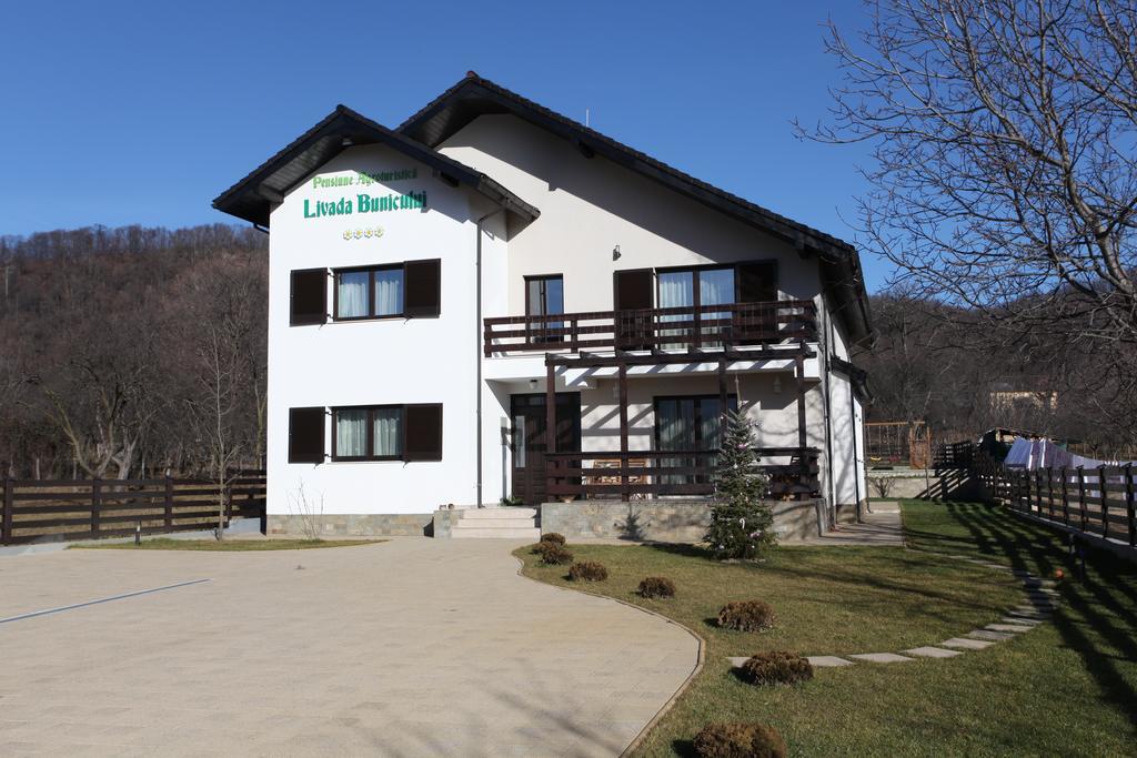 Pensiunea Livada Bunicului Stanesti  Exteriér fotografie